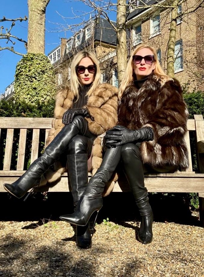 Elegant, opulent and undercover 🕶️ 

Agent Fox &amp; Agent Mink heading up park surveillance.

Covert operations aren’t easy when you’re this eye catching.