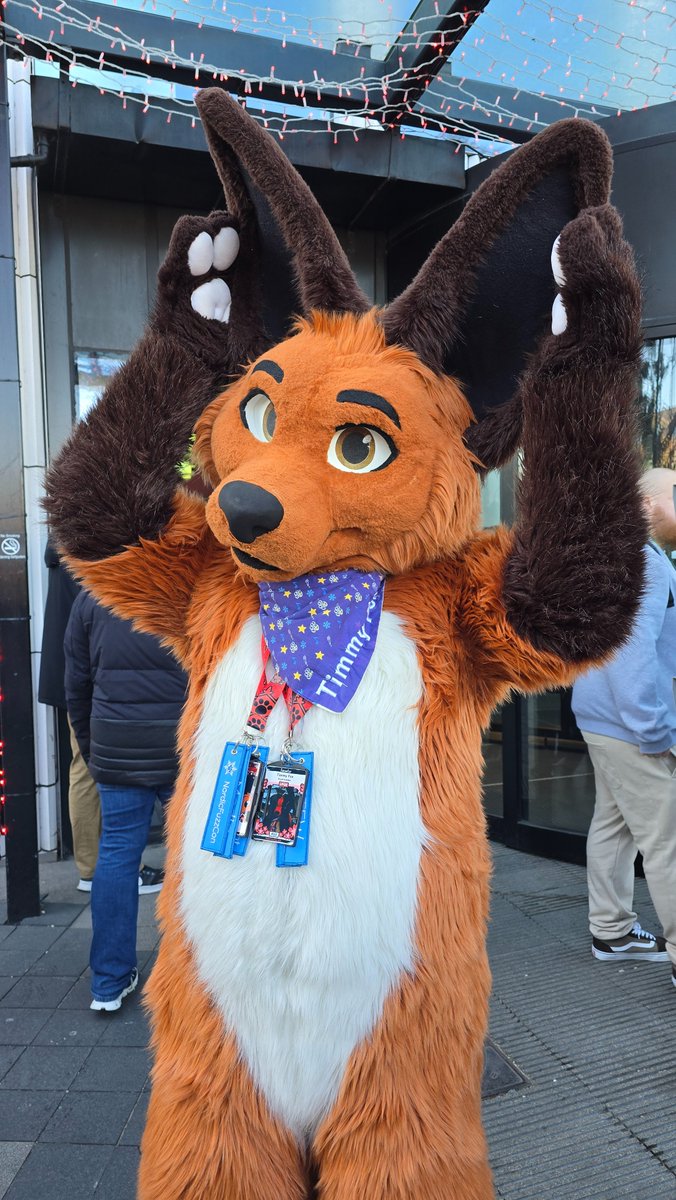 trainfuzzy's tweet image. Look at these biiiiig ears. #NFC2025