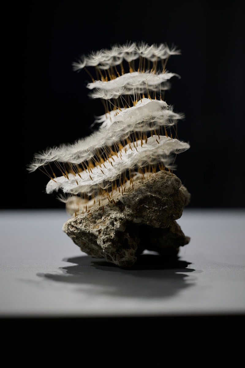 息を建てる 虫瞰