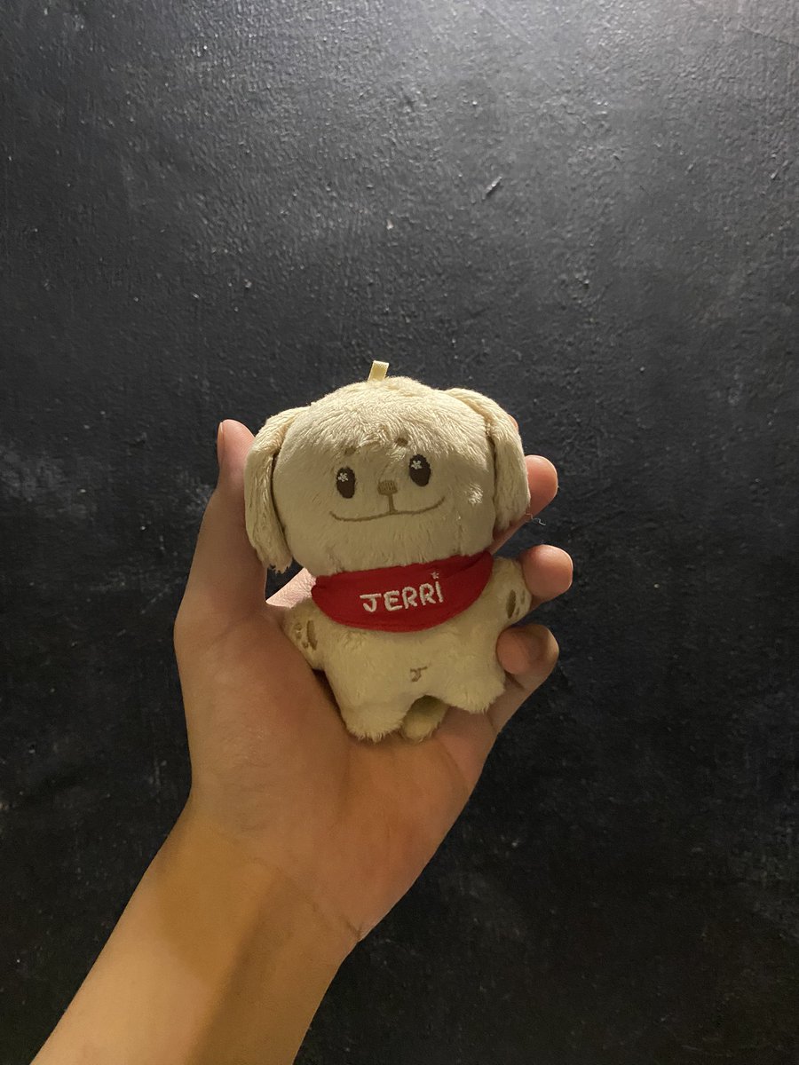 lezzgaurrr_jk's tweet photo. finally, i can now call myself a dad of one HAHAHAHA. sim jerri, my babie 🙆🏻‍♂️🤍

thank you so much @ixquan 🥹🫶🏻
 #cambacks https://t.co/5DjYLMMoWS