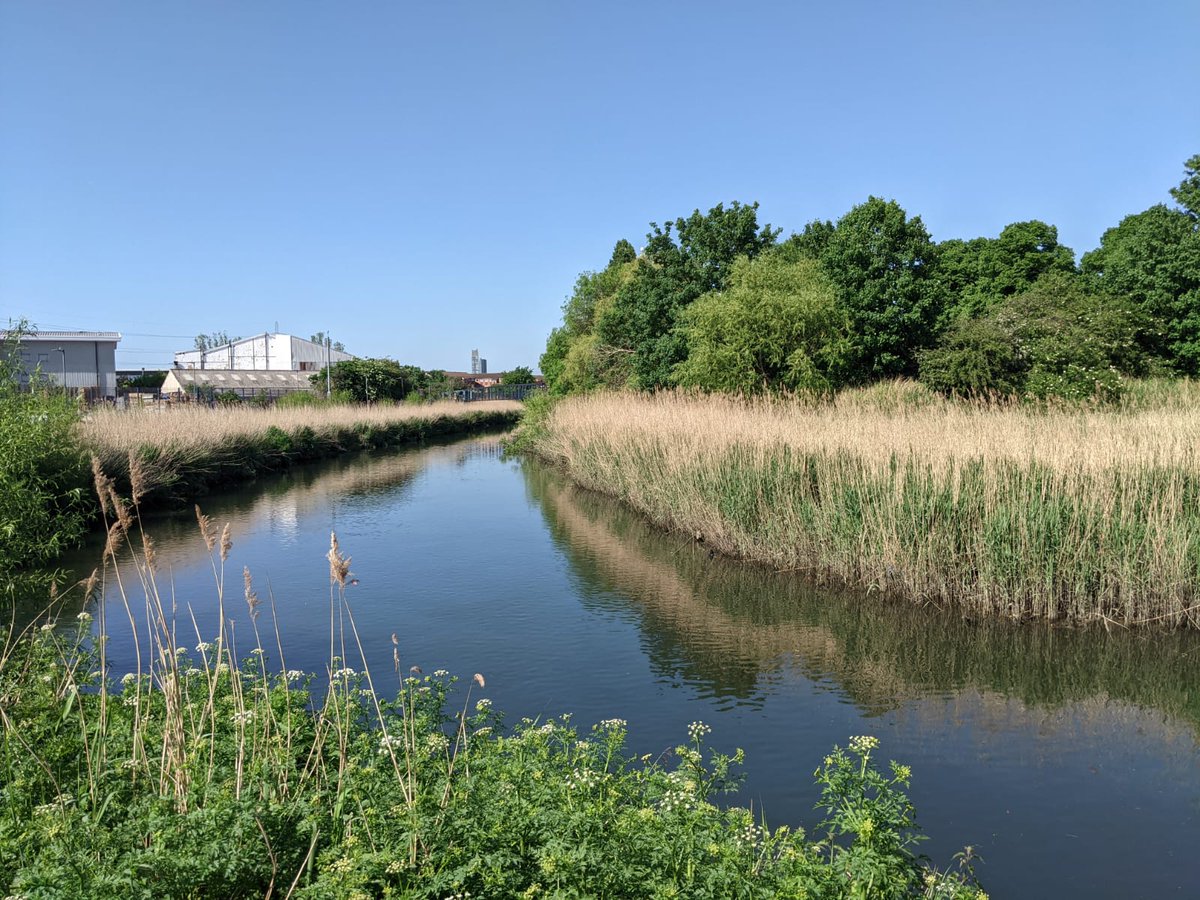 Thames21 tweet media