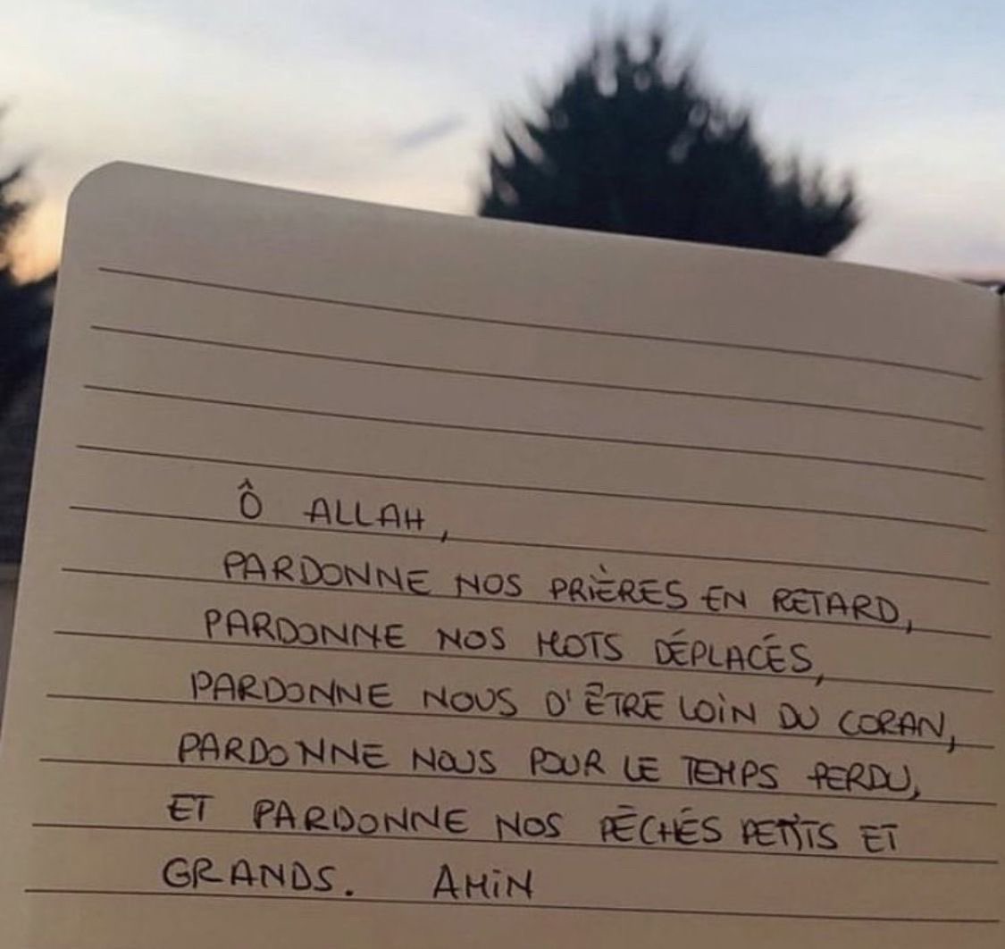 Fury🇩🇿 tweet media