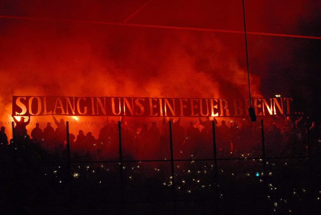 DileyRamiani tweet media