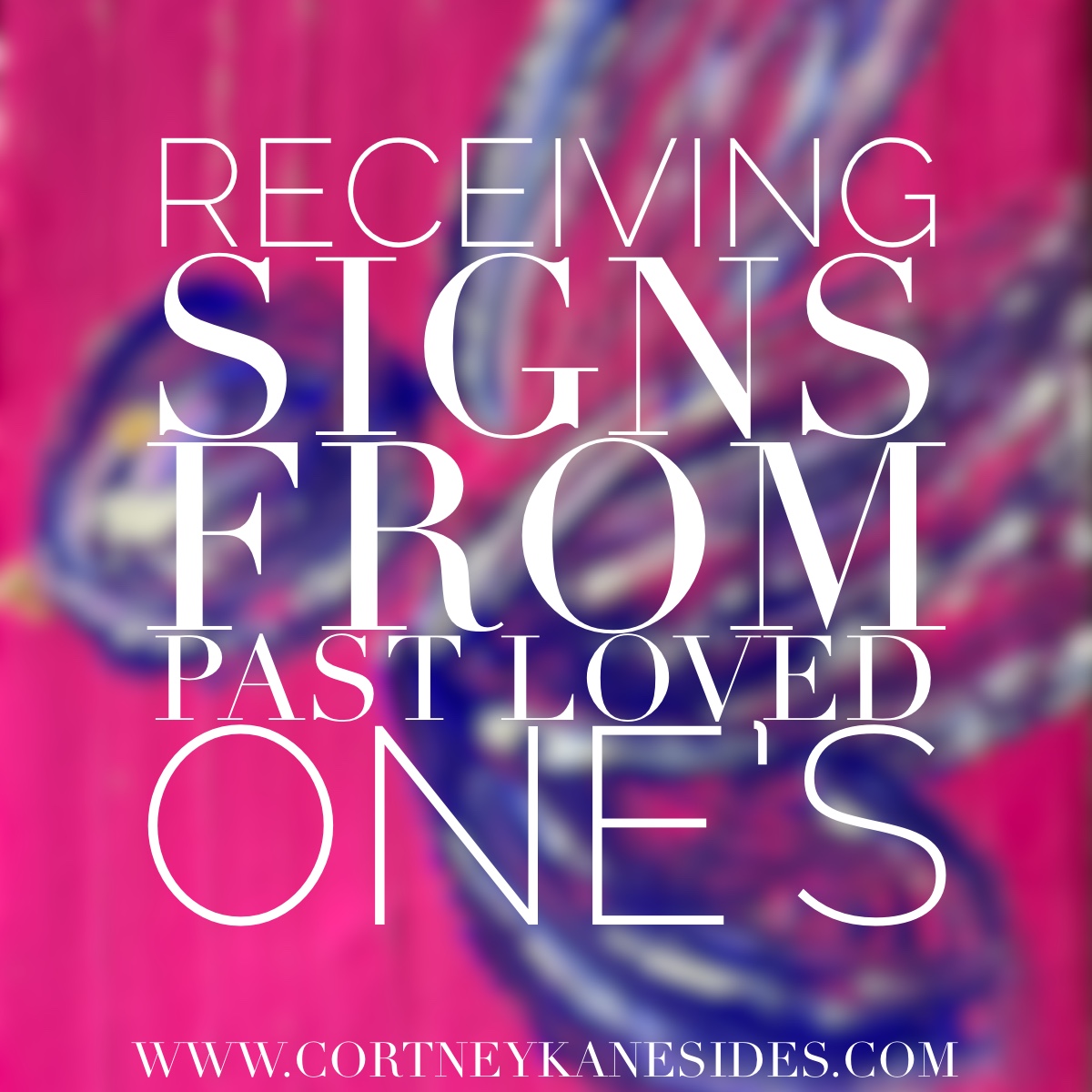 cortneykane's tweet photo. 👼 Your passed loved ones send signs in the smallest moments—a song, a butterfly, a whisper in your heart. They are with you, always. What signs have you noticed lately? 🕊️ #LovedOnesNeverLeave https://t.co/pmRHtY9Fak