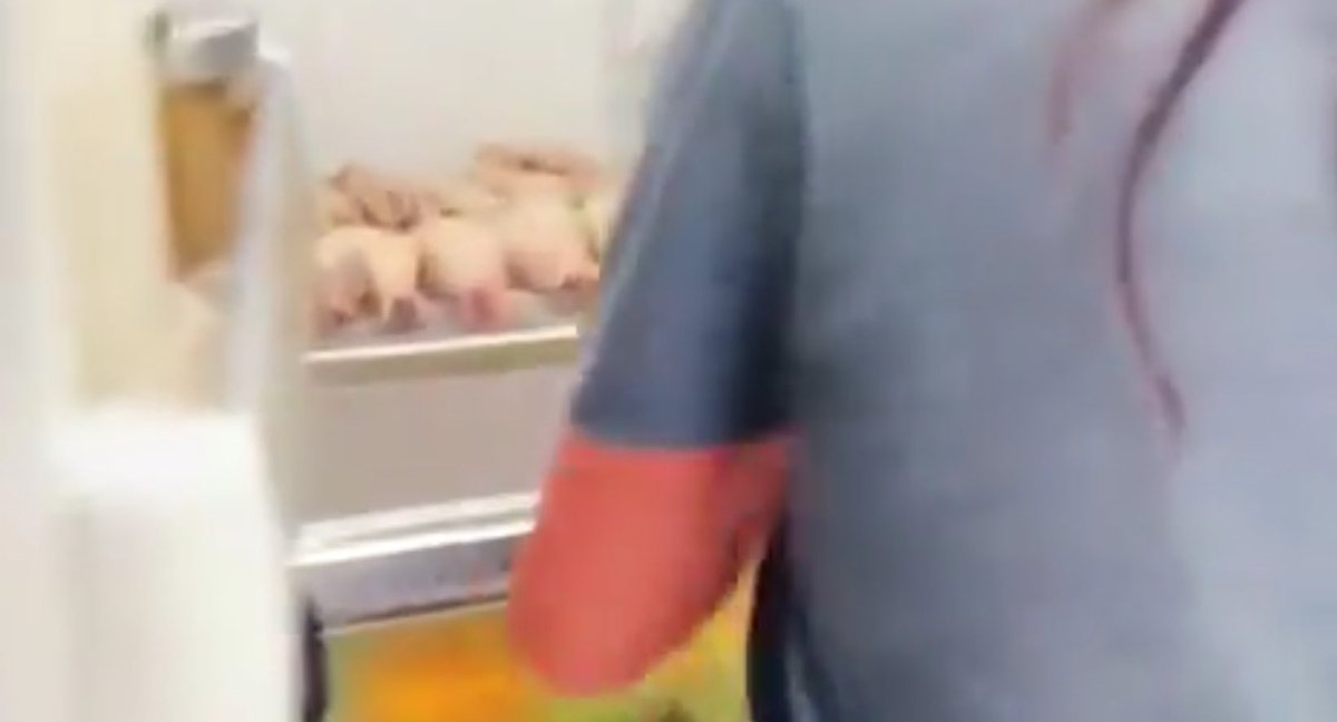 TribesBritannia's tweet photo. Meghan ‘salmonella’ Markle is being dragged on social media for having exposed raw chicken next to exposed unwrapped salad in the fridge.  This is food hygiene 101. You NEVER have unwrapped raw meat anywhere near raw salad and vegetables. There is a reason professional kitchens have colour coded chopping boards! Do not eat at her house!