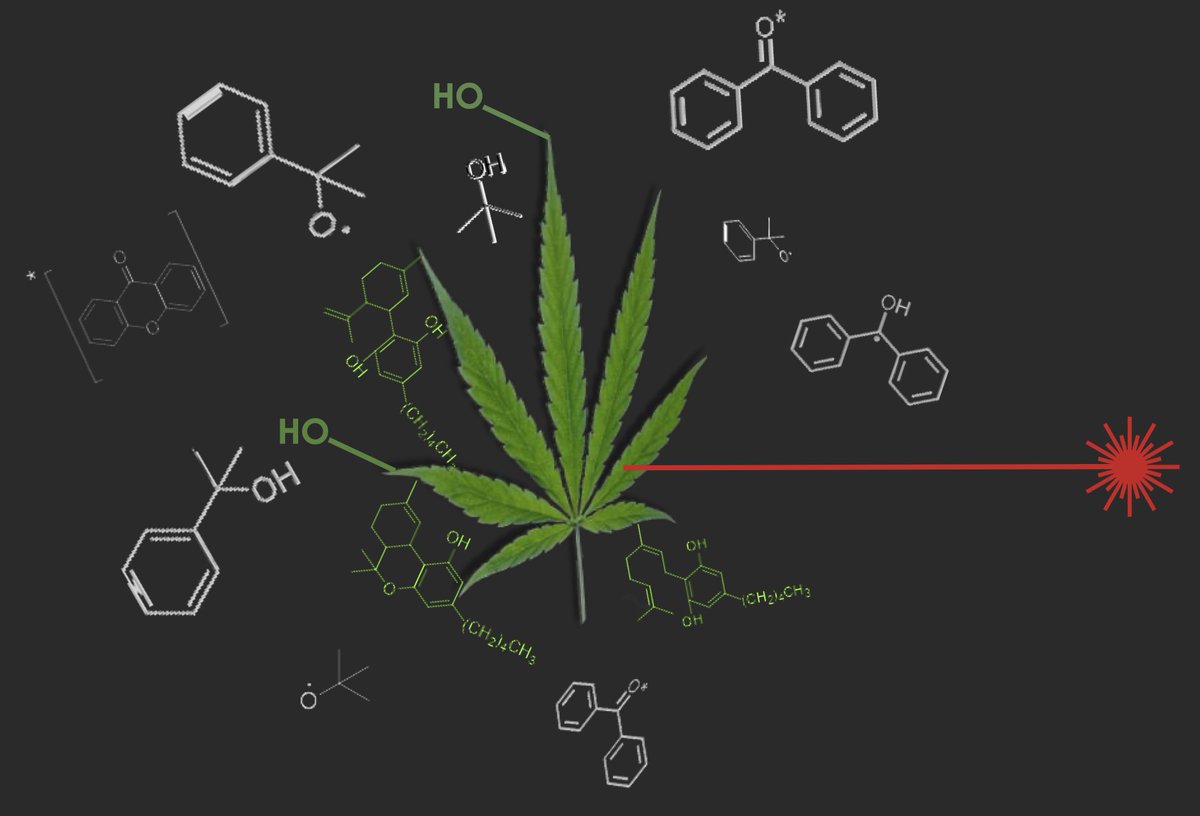 Our first cannabis paper on its free radical chemistry is now published online.
sciencedirect.com/science/articl…