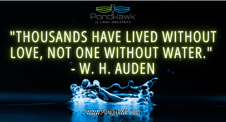 SolarPondHawk's tweet image. Water is life—protect every drop with sustainable solutions. #StormwaterSolutions #pondaerators #greenkeeping #greenkeeper #golfmanagement #ngcoa #gcsaa #hoamanagement #golfcoursesuperintendent
social.pondhawk.com/RDgs