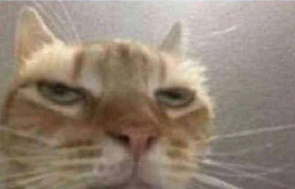 every time i go to uni i wonder why did i bother