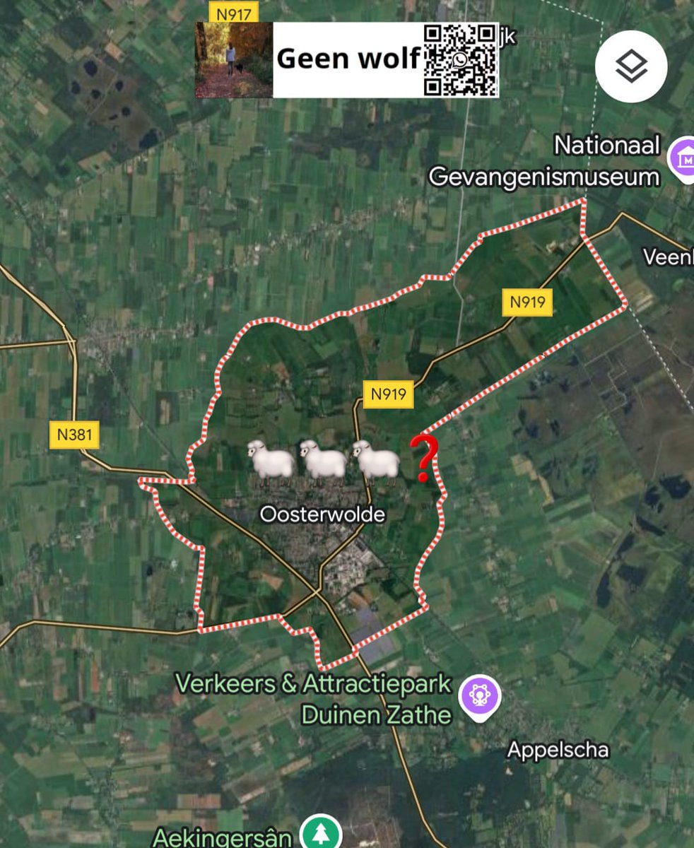 🐺 wolfalert ❌🐺 
scheurmelding 
07-03-25
Oosterwolde Friesland 

wolvenaanval op schapen, een nog onbekend aantal gedood.

🐺 meldingen liefst zsm met GoogleMaps 📌 naar wa 
31617018889
wolvenmeldpunt <a href="/GeenWolf/">Wolvenmeldpunt Geen Wolf</a>
