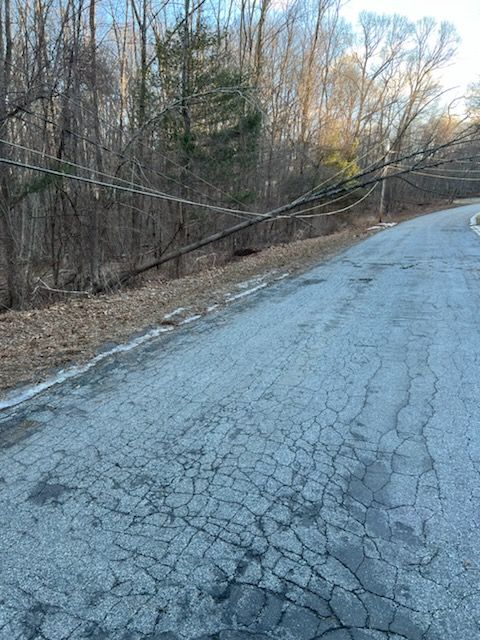 Traffic Alert update: Due to the high winds, there are additional areas of town with trees and wires down:

Partrica Dr @ Goose Lane
71 Midland Dr
116 Weigold Road
321 Gehring Road
Reed Road @ Glenview Terrace 

Please use caution and seek an alternate route.