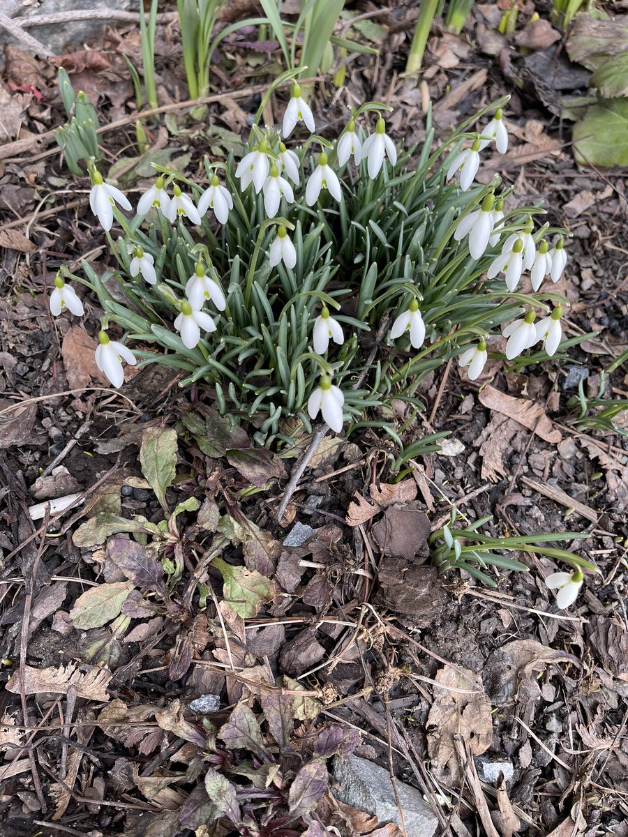 Kevät! #Tampere tänään!