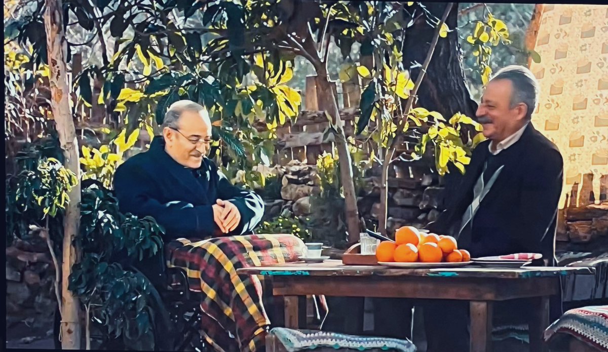 VOLAVIS's tweet image. 