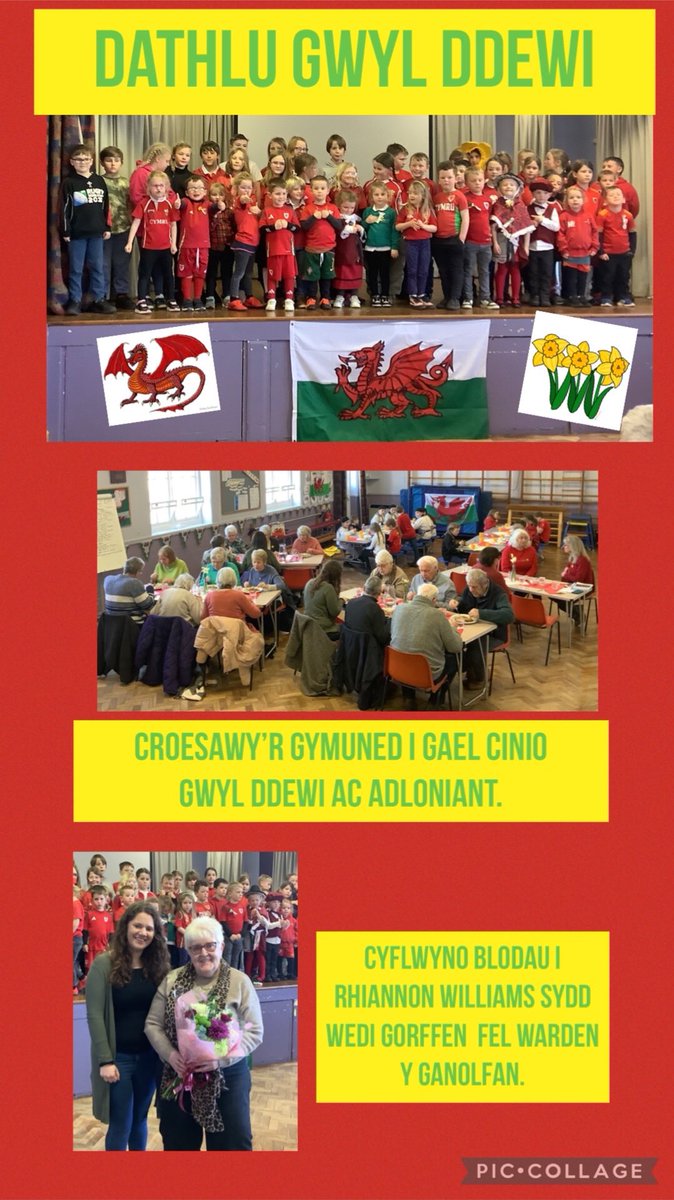 Ysgol Pentrefoelas tweet media