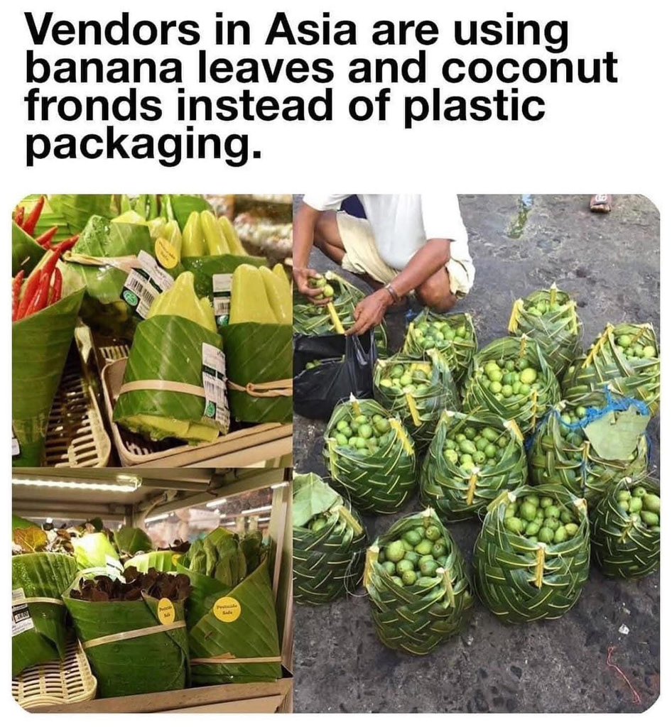 earth_tracker's tweet image. Simple Ideas can have big Impacts.🧵

1. Banana leaves as a sustainable alternative to plastic bags.