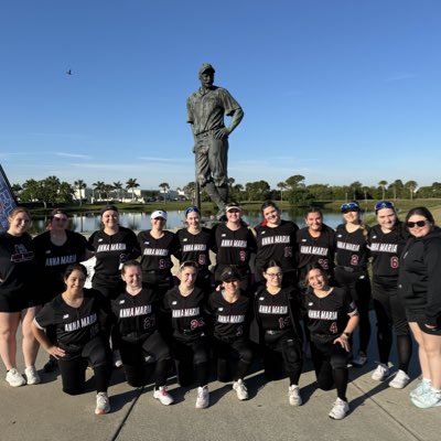 AMCAT Softball tweet media