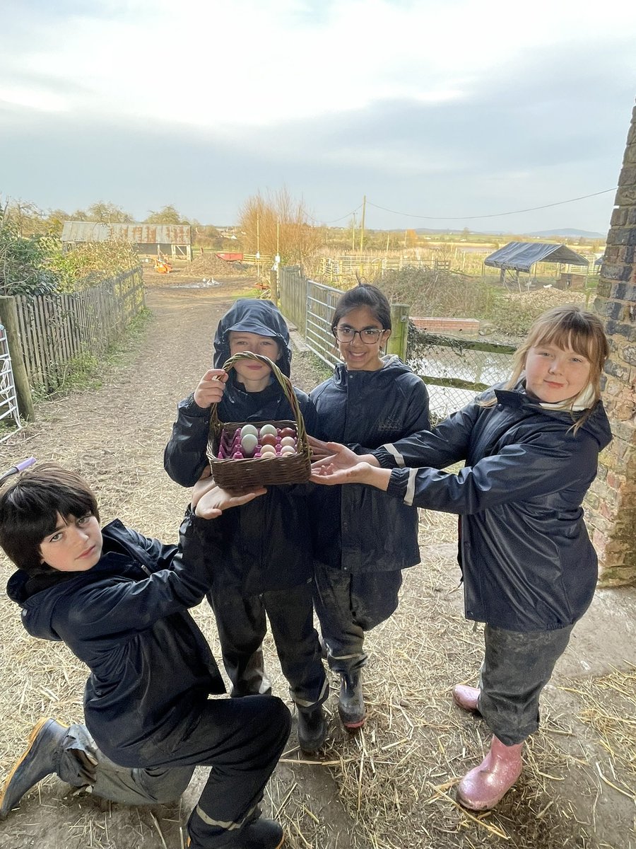 Ravensworth Primary School tweet media