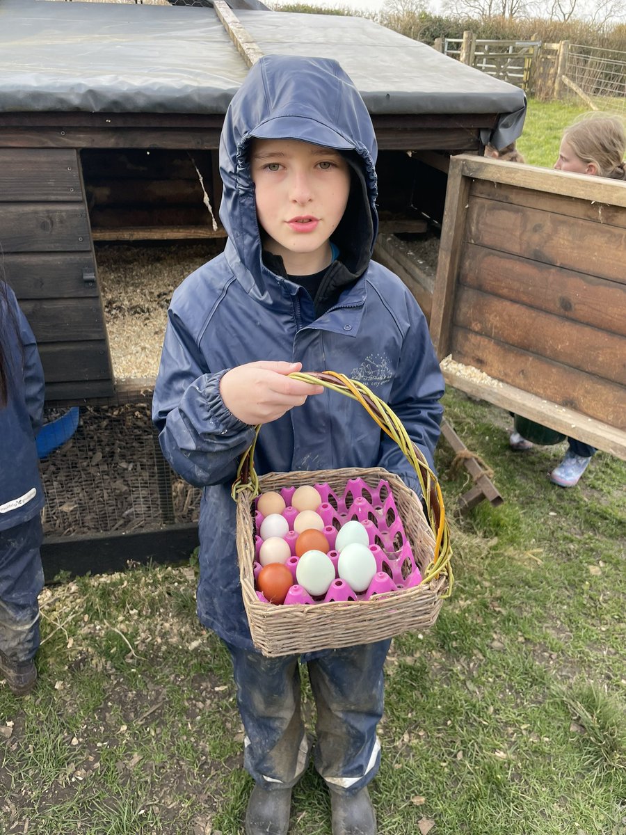 Ravensworth Primary School tweet media