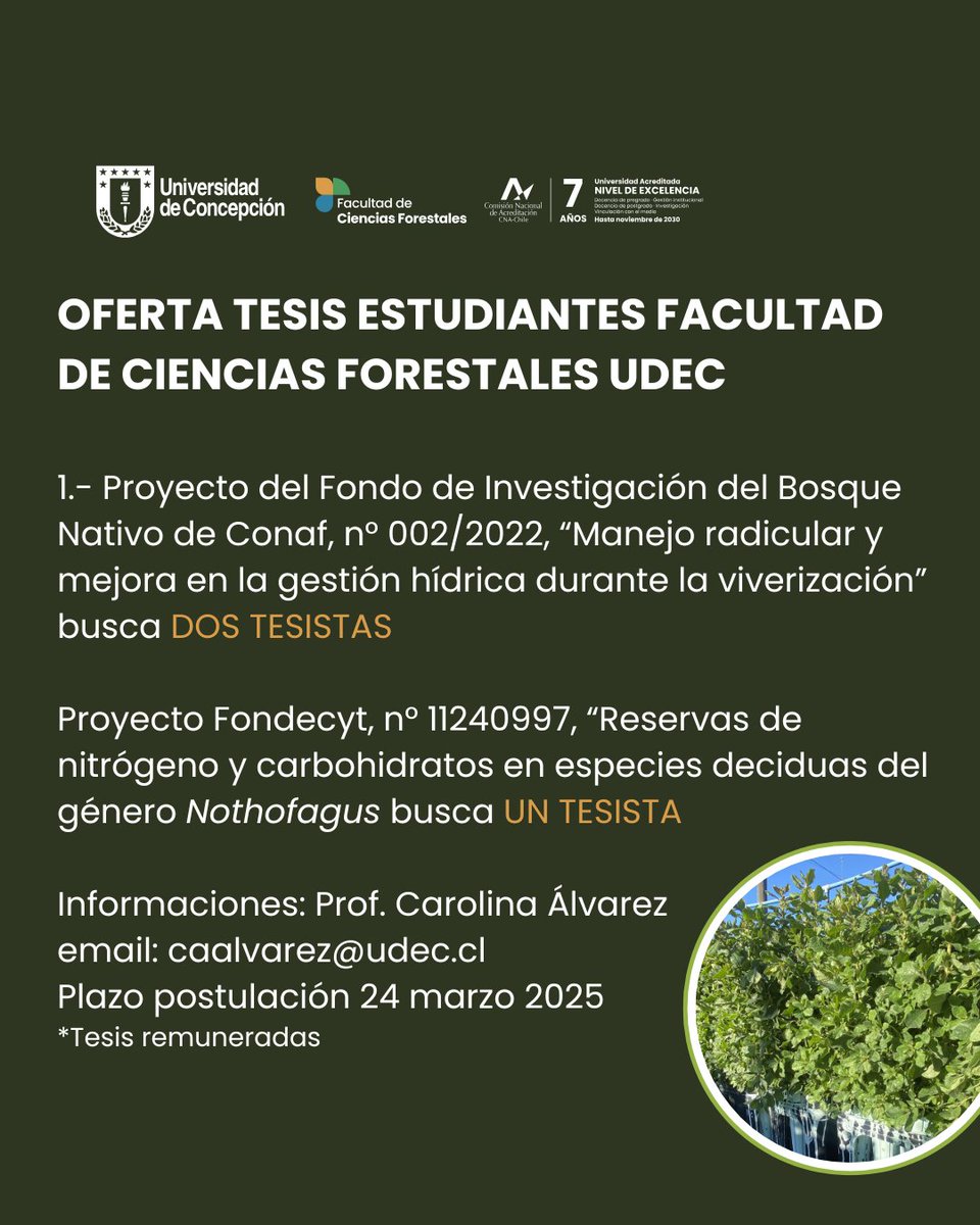 Facultad de Ciencias Forestales 🌳 (@forestalesudec) on Twitter photo 