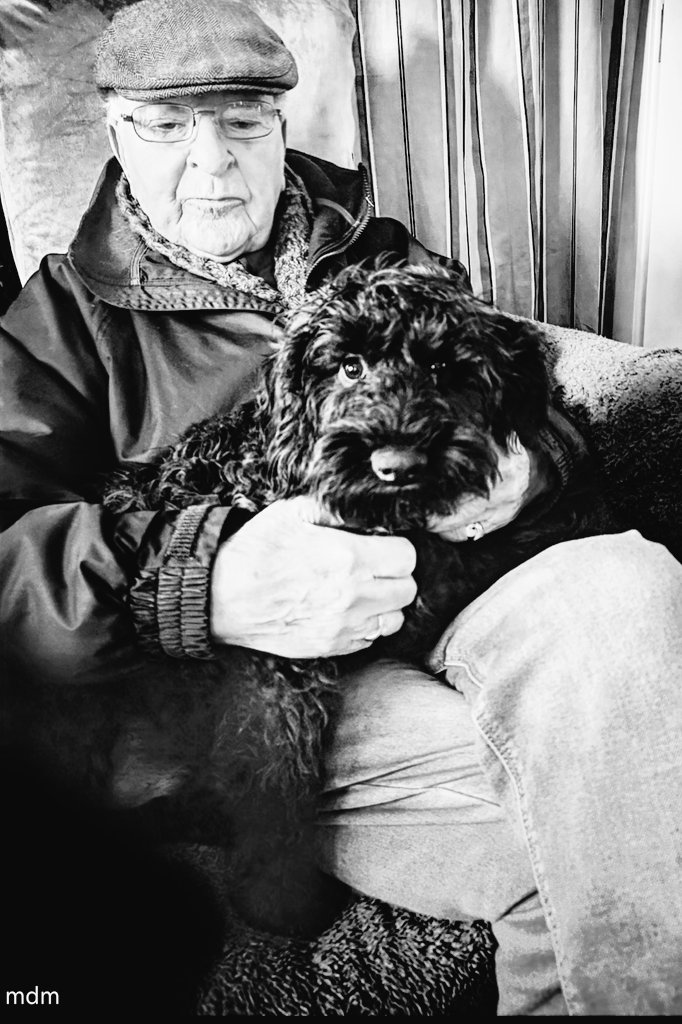 My daughters puppy is only 5 months old.
I'll be 95 in 3 months.
If I wasn't on a stick I'd run away with him.