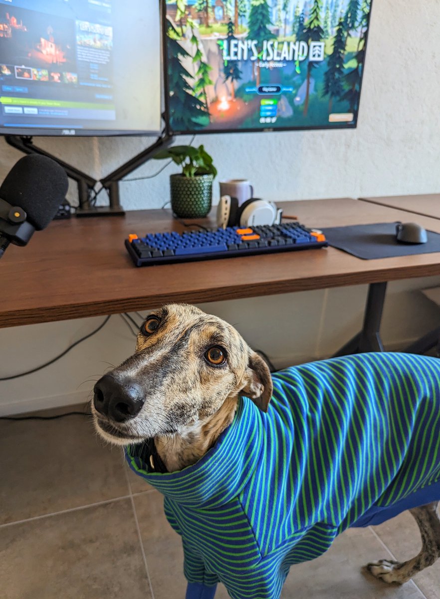 LensIsland's tweet image. Here's Tony, the newest member of the Flow Studio team! 🐶
He's been hard at work overseeing all 1.0 development and ensuring we hit our quota of belly rubs for the year 🐾