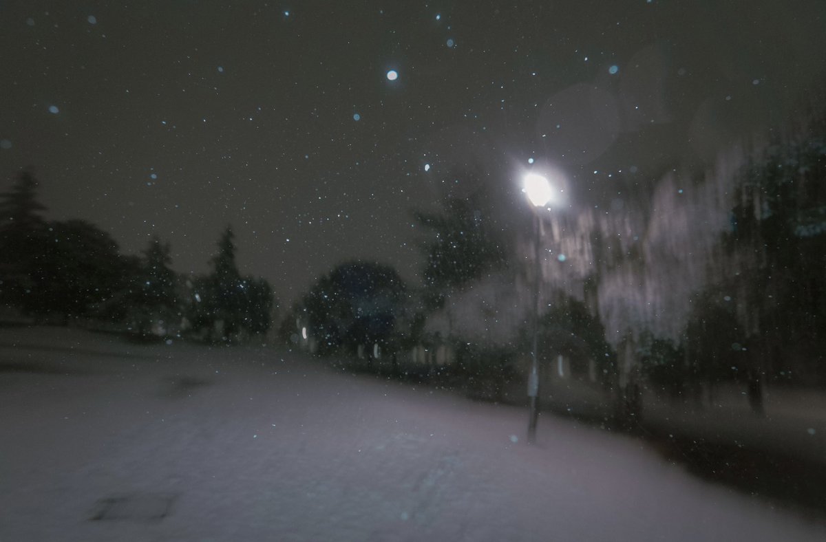 nyafu (@n55_pafu) on Twitter photo 