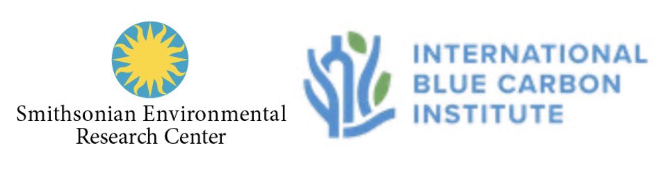 Dan Friess (@danfriess) on Twitter photo Are you an early career researcher interested in blue carbon in Southeast Asia?
There is a FANTASTIC position available hosted by the International Blue Carbon Institute and the Smithsonian Environmental Research Center!
phh.tbe.taleo.net/phh04/ats/care… Are you an early career researcher interested in blue carbon in Southeast Asia?
There is a FANTASTIC position available hosted by the International Blue Carbon Institute and the Smithsonian Environmental Research Center!
phh.tbe.taleo.net/phh04/ats/care…