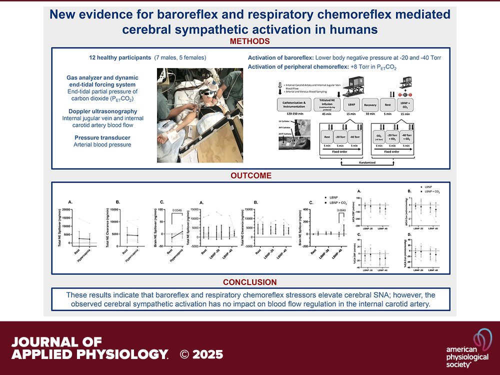 Journal of Applied Physiology (@japplphysiol) on Twitter photo Research Article: MM Tymko et al (<a href="/uofg/">University of Guelph</a> <a href="/UBC/">University of British Columbia</a> <a href="/universitelaval/">Université Laval</a> <a href="/UPorto/">Universidade Porto</a> <a href="/BangorUni/">Bangor University</a> @pat_brassard @Geoff_Coombs @lawrencelabr) New evidence for baroreflex and respiratory chemoreflex-mediated cerebral sympathetic activation in humans
🔒ow.ly/NmHj50UZtWX Research Article: MM Tymko et al (<a href="/uofg/">University of Guelph</a> <a href="/UBC/">University of British Columbia</a> <a href="/universitelaval/">Université Laval</a> <a href="/UPorto/">Universidade Porto</a> <a href="/BangorUni/">Bangor University</a> @pat_brassard @Geoff_Coombs @lawrencelabr) New evidence for baroreflex and respiratory chemoreflex-mediated cerebral sympathetic activation in humans
🔒ow.ly/NmHj50UZtWX