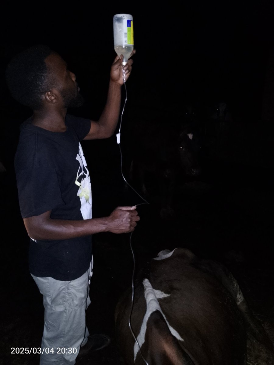 Livestock Production Guru tweet media