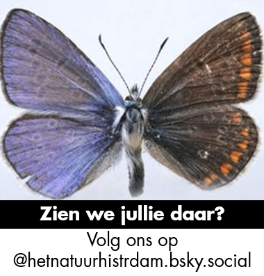 Het Natuurhistorisch (@hetnatuurhist) on Twitter photo 