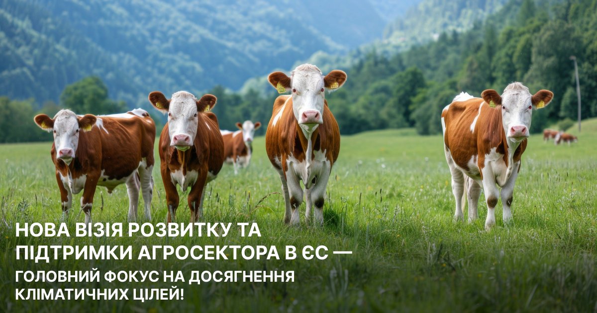 GreenDossier's tweet photo. 🧐Продовжуємо вивчати🇪🇺agro&amp;food Vision
📌Стійке до кліматичних змін сільське господарство має спиратися на політику, адаптовану до місцевих, регіональних і національних потреб у необхідні трансформації виробництва до майбутніх кліматичних умов.
Частина 3👉https://t.co/yAAKAx3mlh https://t.co/vjWFaaQHSA