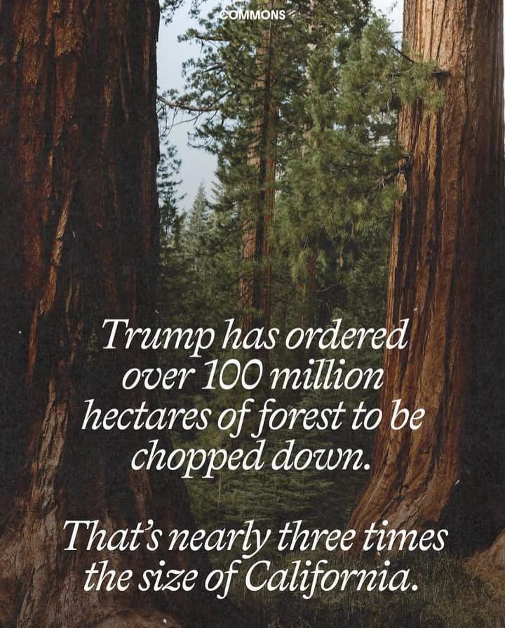 Trump has ordered huge swathes of US forests to be cut down for timber. An ecocidal and genocidal empire. Never was there a more urgent time to organize mass action in the US against the US in defense of the climate, forests, ecosystems, and indigenous people everywhere.