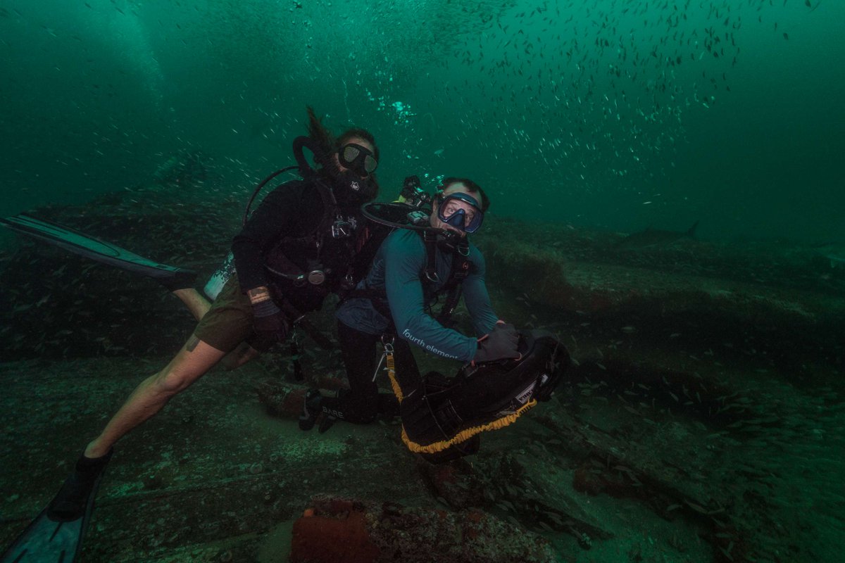 NAUI Dive Spotlight 🔦 Brian Schiefer—an adaptive diving pioneer, turning adversity into innovation! His nonprofit, SCI-DI, is leading in adaptive dive research &amp; equipment development.
Read more: naui.org/naui-dive-spot…
📸© Romona Robbins 2024
#DiveNAUI #NAUIWorldwide #SCIDI