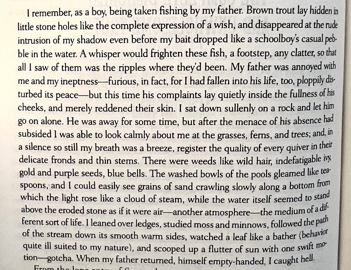 exhaustdata's tweet image. I know that Gass’ most famous line is about transforming the world into words, but it’s still unbelievable that someone was just able to sit down and create a paragraph like this from thin air