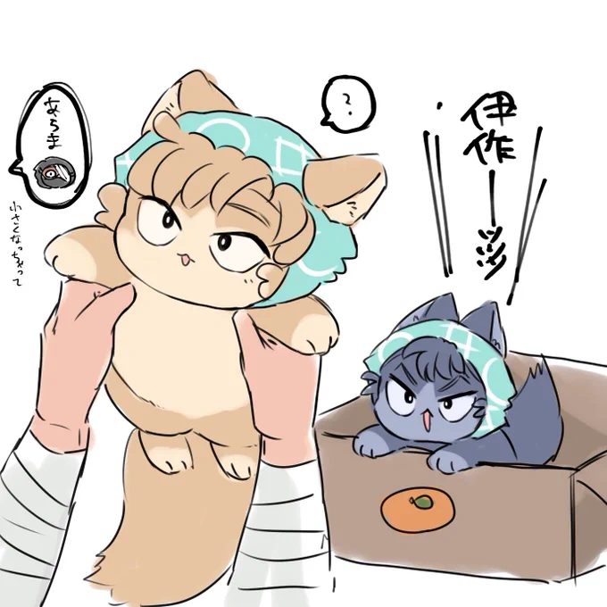 2匹とも🥷学園へ無事送り届けられる 