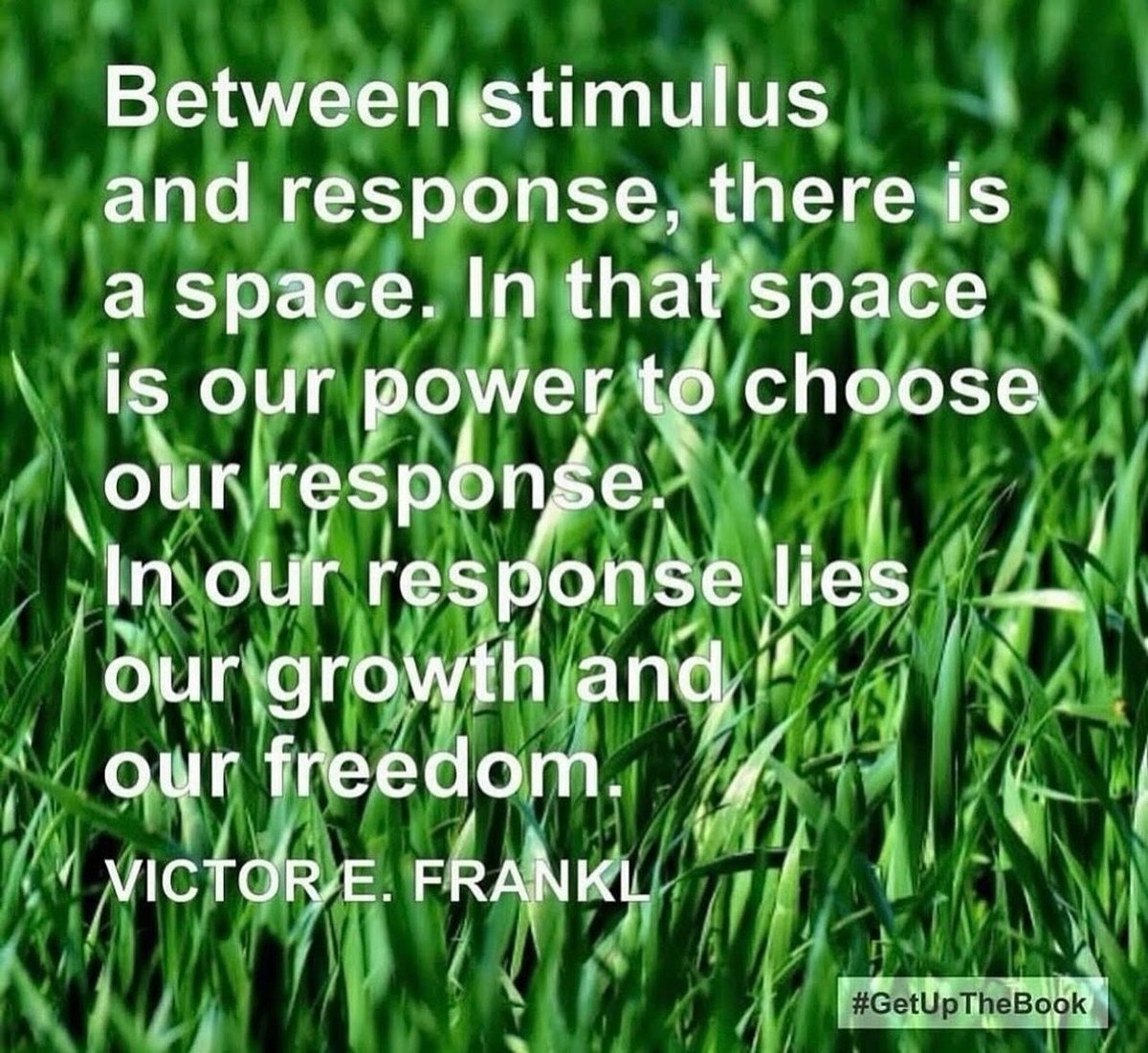 Praying for Peace, hope and strength.

The willingness to learn and question what you don’t understand. It’s more than ok not to know, and ask.