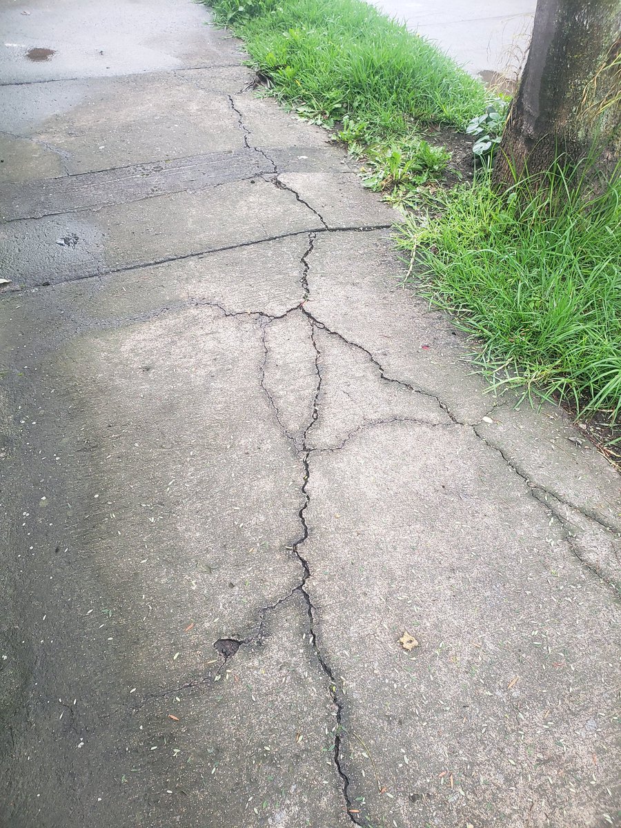 eddyy1968's tweet photo. @emac_ep @czamoramatute @mcaridadvazquez @MunicipioCuenca Srs Emac ep en la Av Guapondelig 12-70 Y Rio Upano hay un arbol que se esta inclinando hacia a la calle además esta levantando la vereda, no se si son las raíces o porque el arbol esta inclinado https://t.co/IPGsqyqOTO