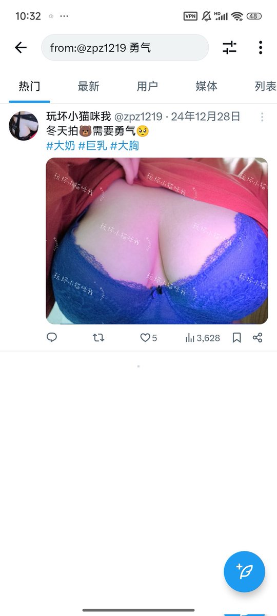 媒体预览
