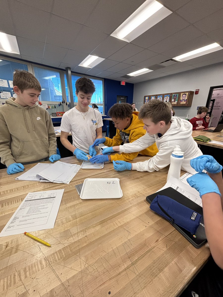 Dissecting sheep brain in PLTW 2!