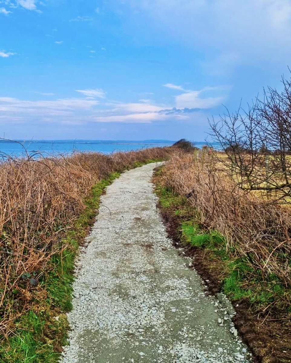 Seventy Ninth Group tweet media