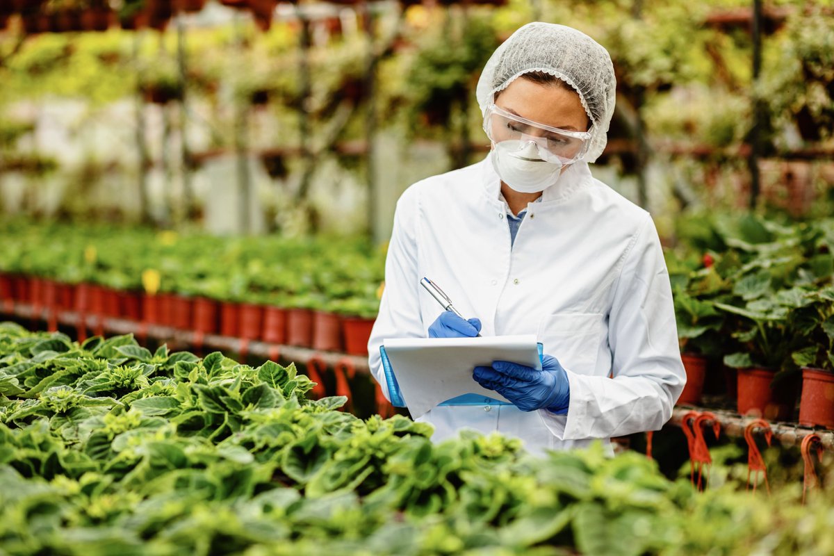 ¡Abiertas las subvenciones 2024 para la modernización de la industria agroalimentaria y la transición justa en PYMEs de León y Palencia!🚜🌿

¿Quieres innovar o transformar? 
⏳30 de abril de 2025 

Más info y solicitud aquí 🔗bit.ly/3DyNmop #subvenciones #PYMEs #CyL
