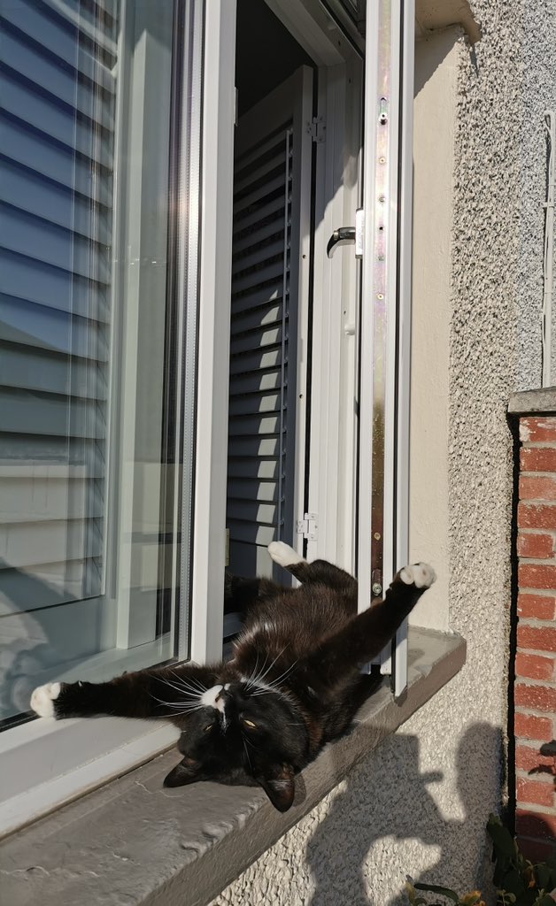 SarahjevsEvans's tweet image. When Barry sunbathed in the window that time