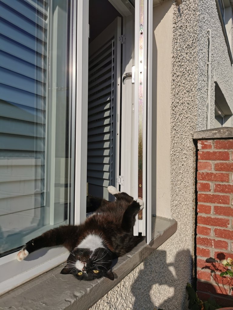 SarahjevsEvans's tweet image. When Barry sunbathed in the window that time