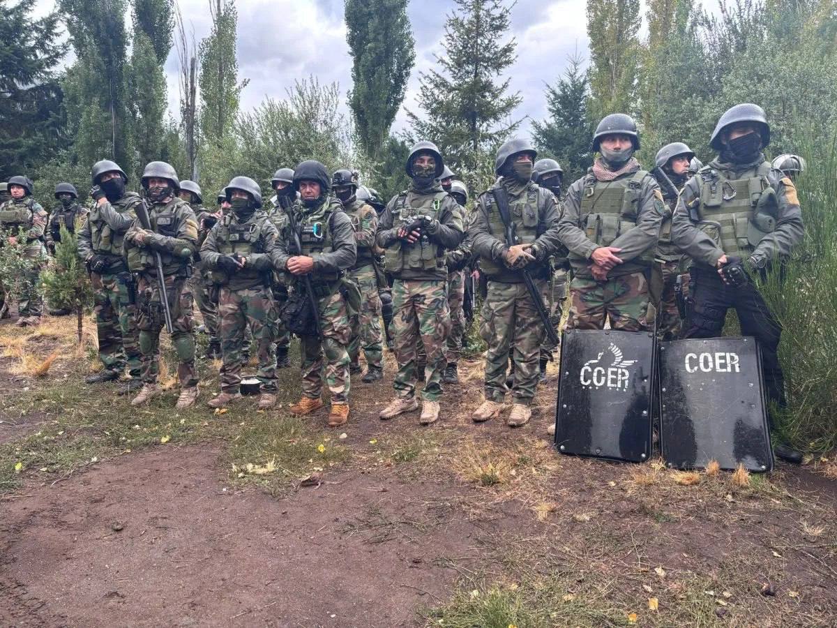 CatMapuche tweet picture