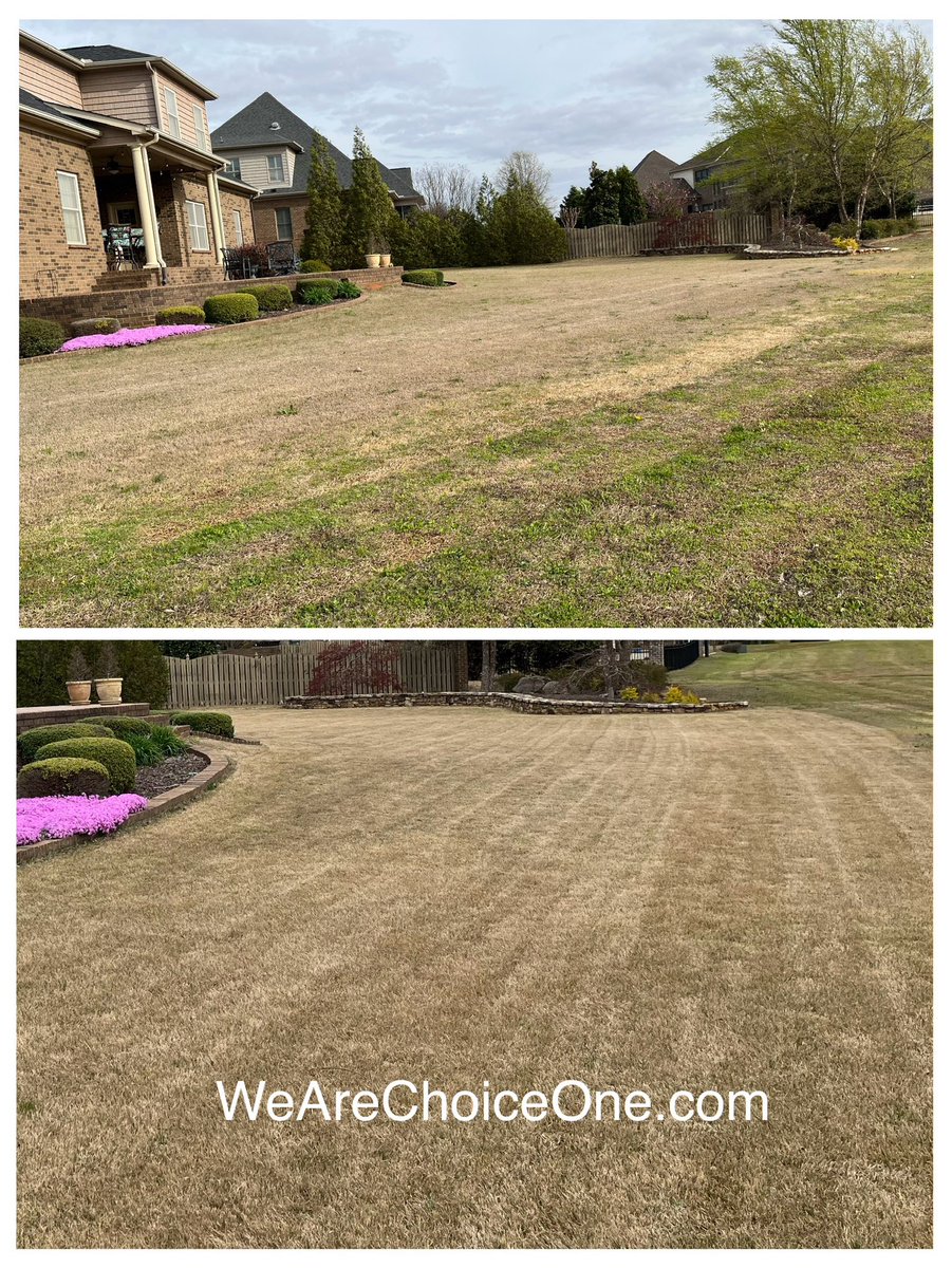WeAreChoiceOne's tweet photo. Is it time to scalp my lawn?

The best time to scalp your lawn for warm season grasses (Bermuda, Zoysia) is typically late February to early March.

Get your free estimate today at https://t.co/pIta4IkZuC

#LawnCare #Mowing #Huntsville #Madison #Alabama #HSV #ChoiceOneLawnCare https://t.co/aSBGX9ome7