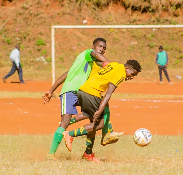 sunshinefc5394's tweet photo. Don't chase your dreams. Instead, marry them
#10chude shukran
#sunshinefc
#royalfresh https://t.co/iLDX1C8yGD