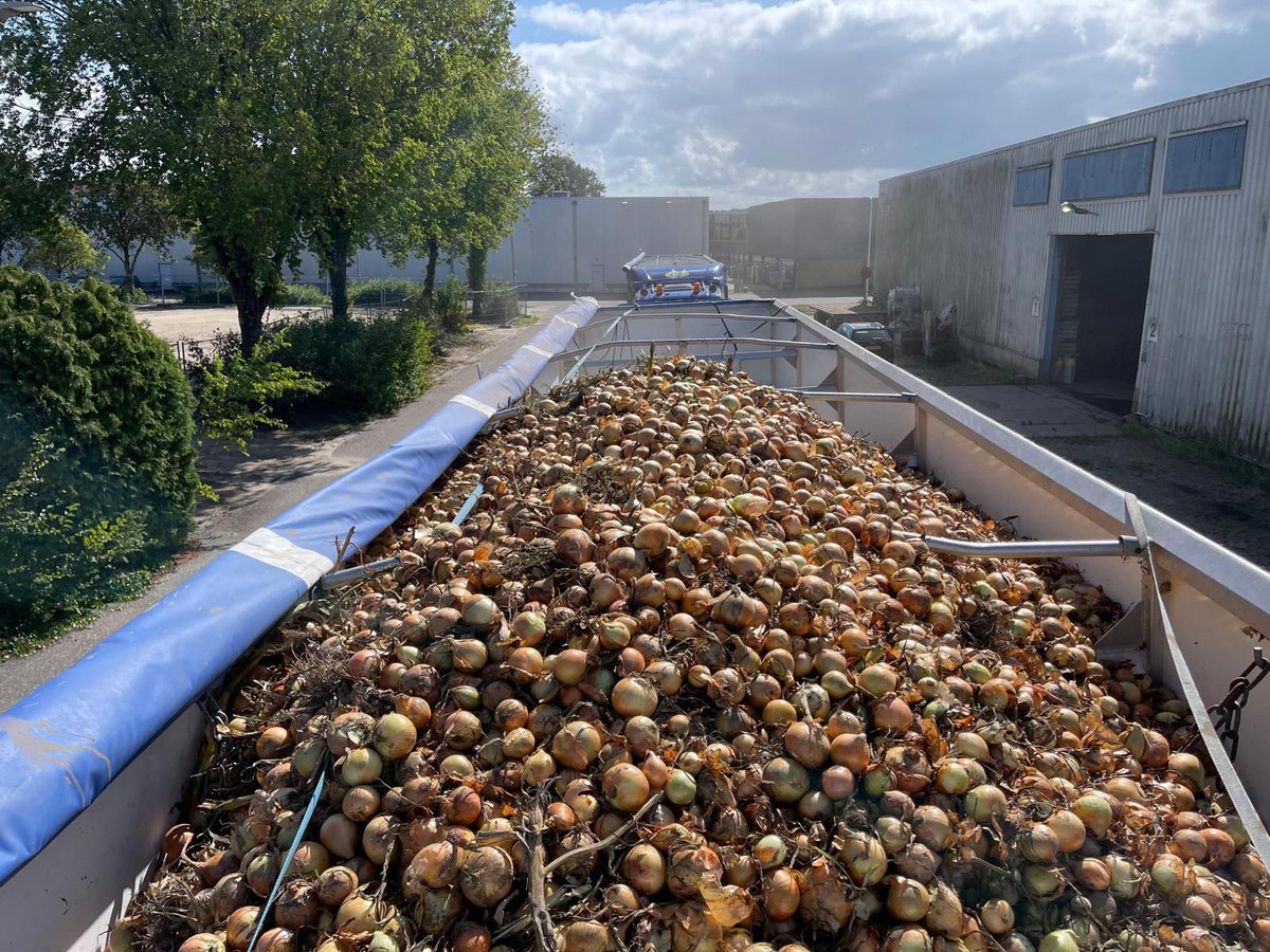 FlevoTrade Onions, Grading & Packaging tweet media