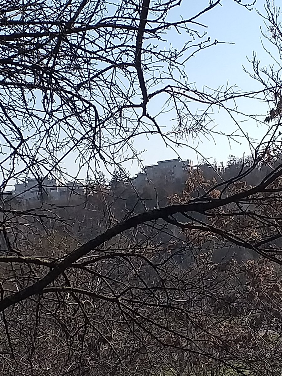 eriesence's tweet image. 