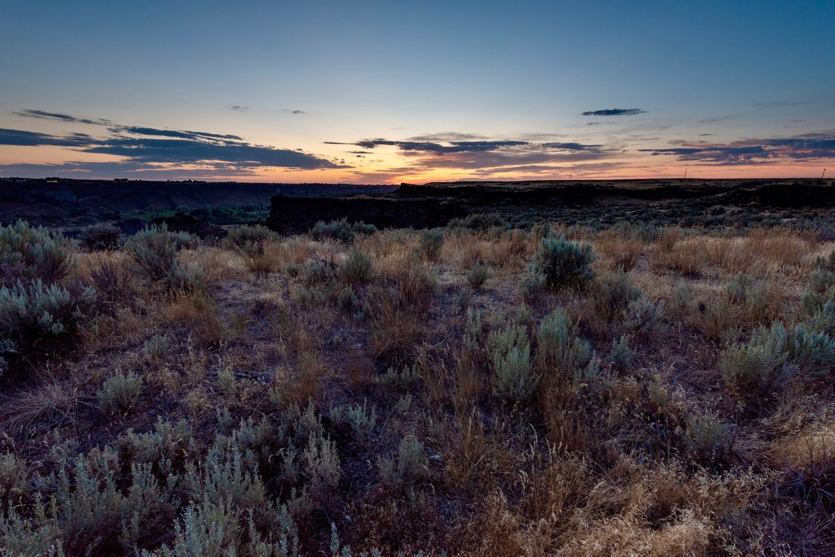 Last of all Hurin stood alone. Then he cast aside his shield, and wielded an axe two-handed; and it is sung that the axe smoked in the black blood of the troll-guard of Gothmog until it withered, and each time that he slew Hurin cried: 'Aure entuluva! Day shall come again!'