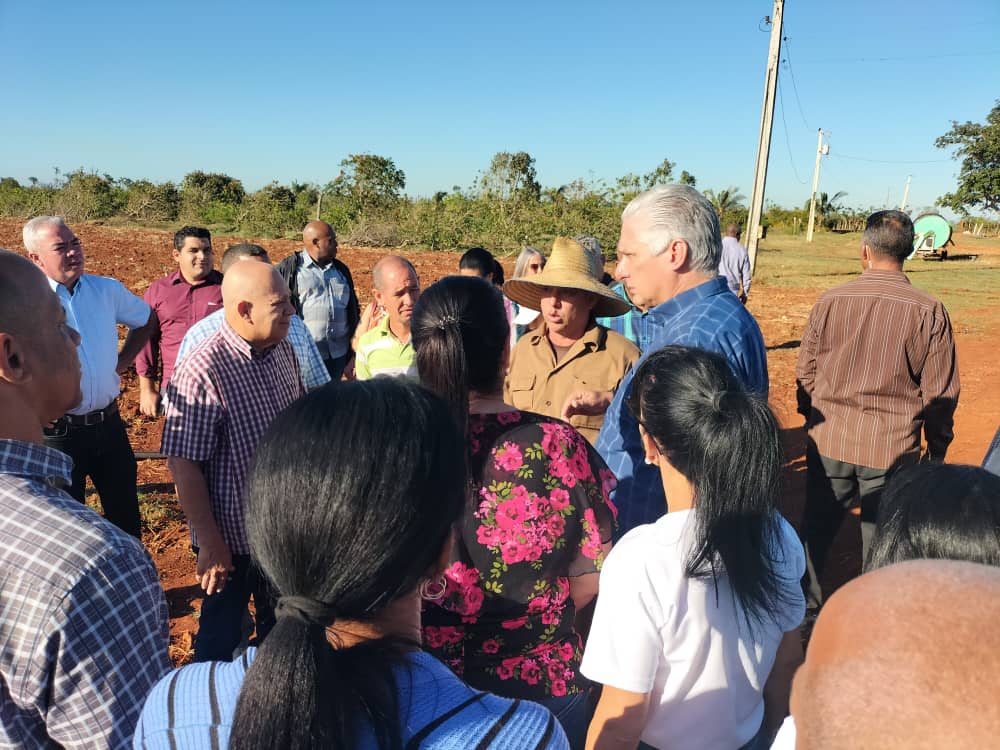 DrRobertoMOjeda's tweet photo. Las huellas en la agricultura del último huracán que pasó por #Artemisa van desapareciendo. Sus tierras muestran cuánto se ha hecho para recuperar niveles productivos con el trabajo duro y el empleo de la ciencia. Así lo constatamos en los municipios visitados. #GenteQueSuma https://t.co/IEoz15zLi3