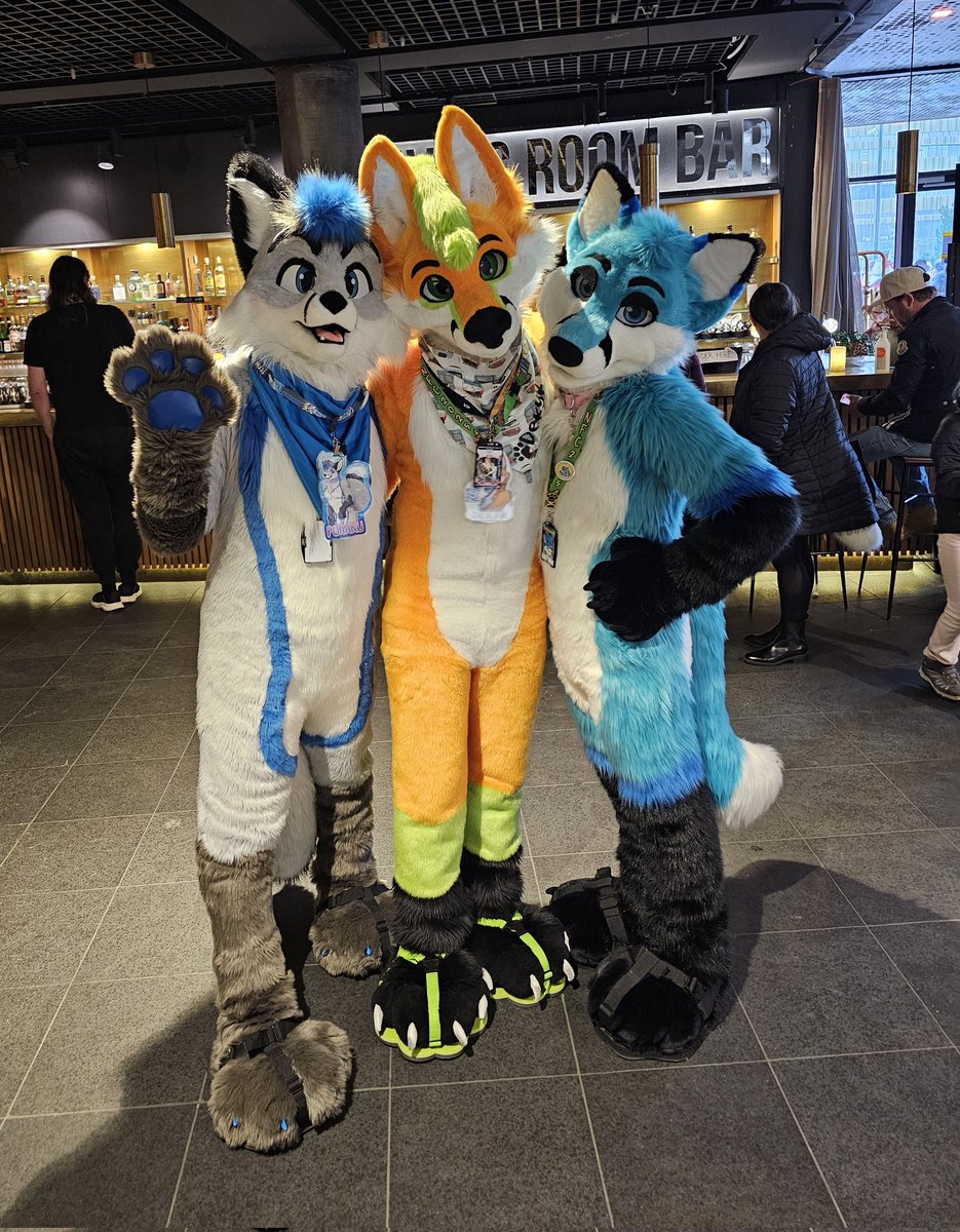Found two cute foxes for this wonderful #FursuitFriday 🩶🧡💙
Nothing better than three foxes in a bar, right?

🦊 <a href="/pohakufox/">Pohaku 💙🦊💙</a> 
🦊 <a href="/Blue_Zeph/">Zephy 🦊💙</a> 

📸 Redfolf